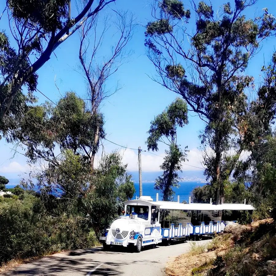 🚂 아작시오 꼬마기차 (프티 트랑 다작시오 - 트리니켈루 다이아치우)